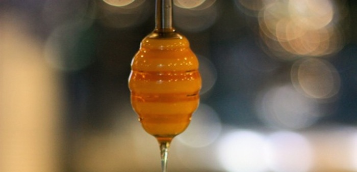 Registration Honeypot: A Simple WordPress Plugin to Combat Spam