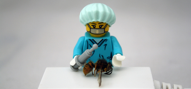 WordPress Plugin WP Inject Renames to ImageInject and Introduces New Features