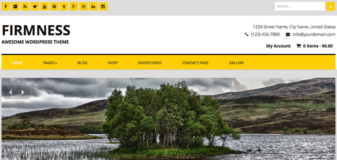 Firmness: A Bright and Flexible WordPress Business Theme