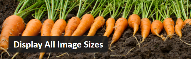 WPShout Releases New WordPress Plugin that Displays all Image Sizes