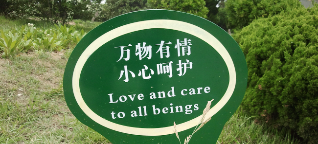 How to Prepare and Take Advantage of Language Packs for Plugins Hosted on WordPress.org