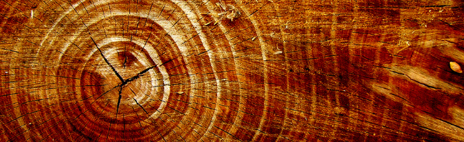 How to Find the Age of a Plugin Hosted in the WordPress Plugin Directory