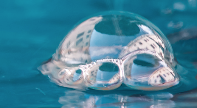 Scott Bolinger Shares Unique Perspective of WordPress From Outside the Bubble