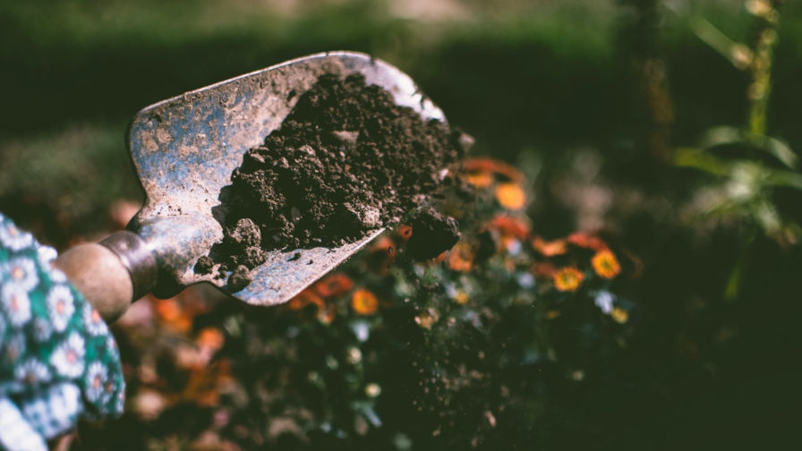 On Digital Gardens, Blogs, Personal Spaces, and the Future
