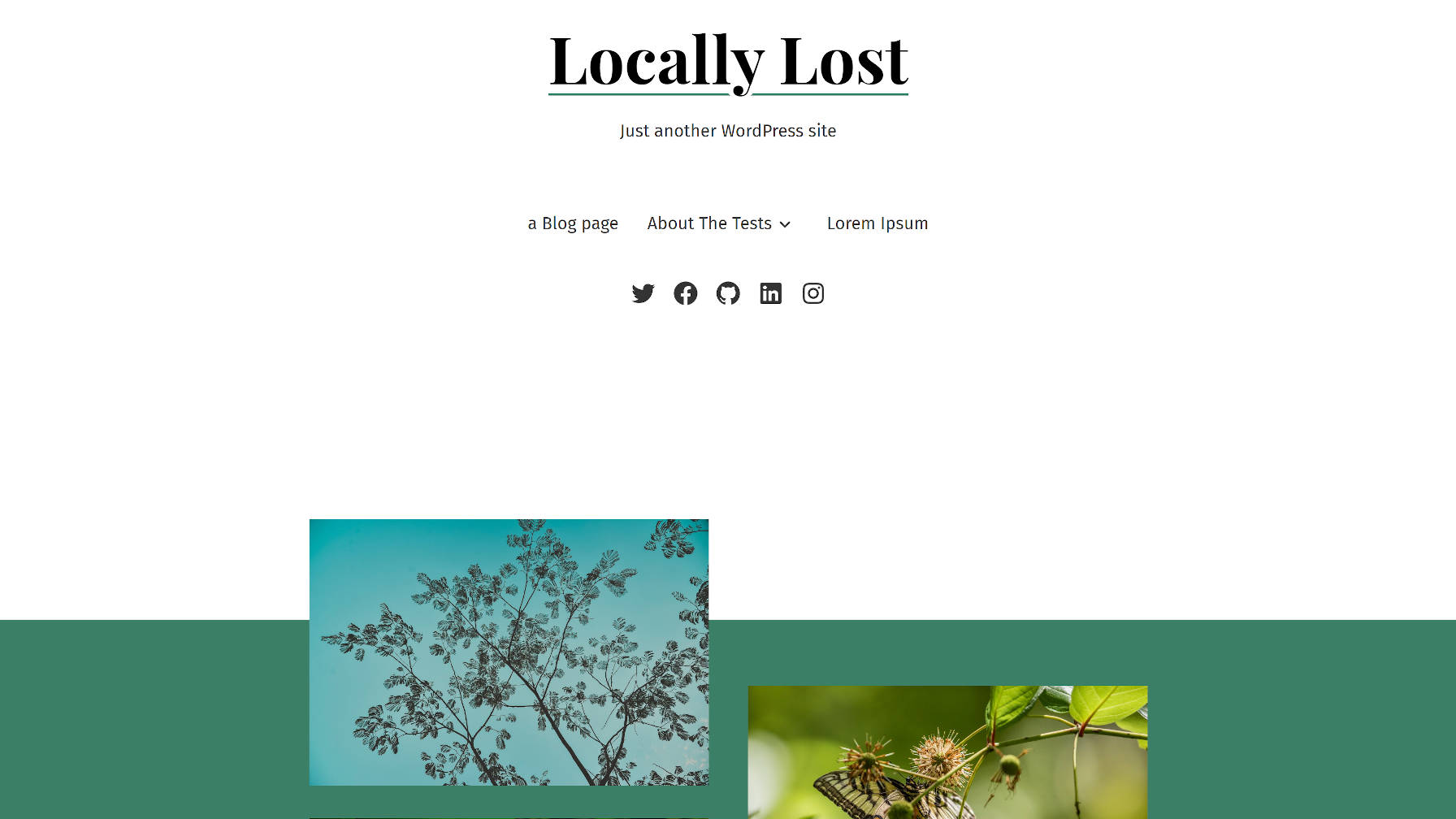Exploring Seedlet, Automattic’s Block-First WordPress Theme
