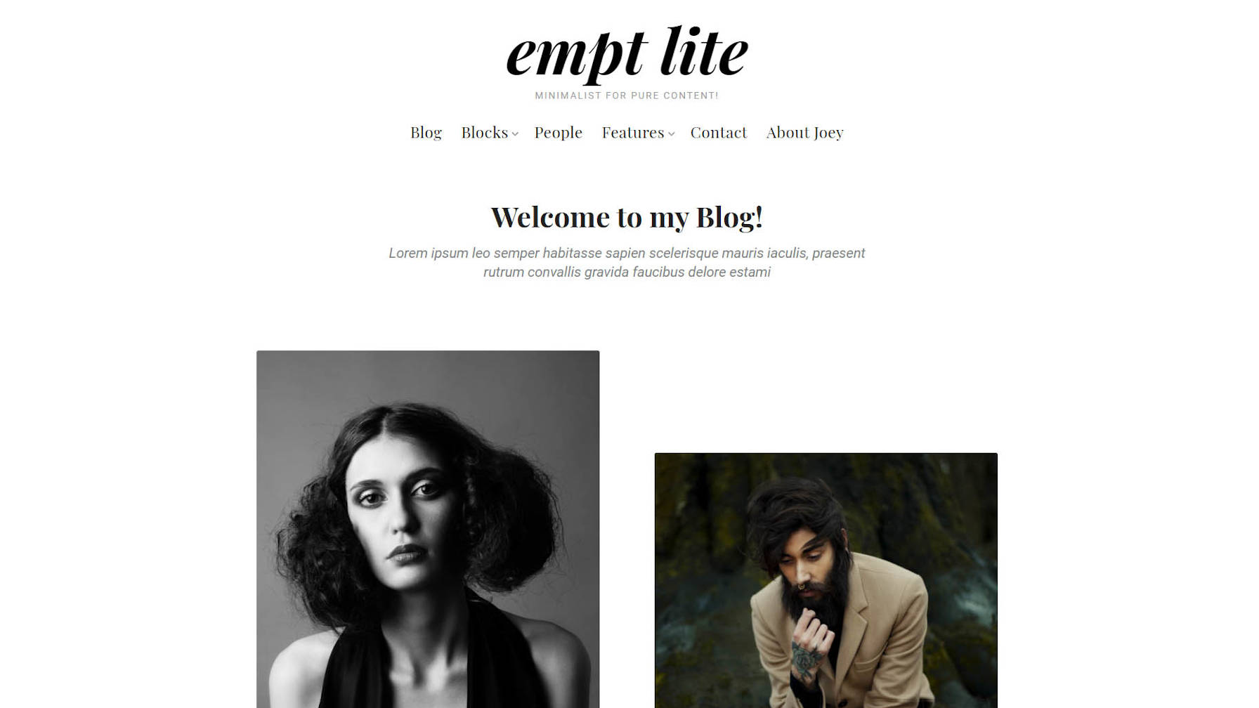 Rough Pixels Releases Empt Lite, a Block-Supported Freemium WordPress Theme