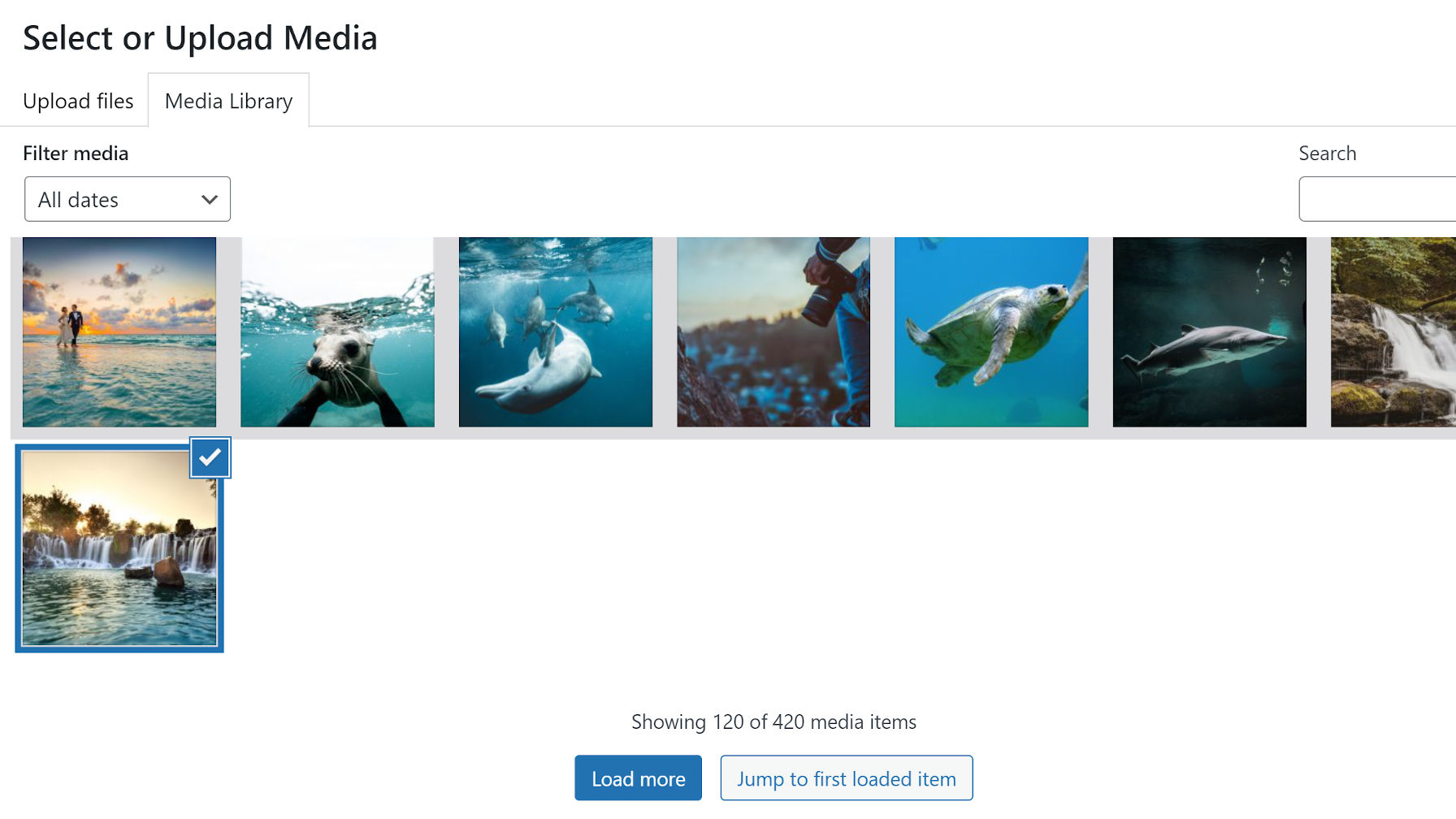 WordPress 5.8 Media Library Changes You Should Know About