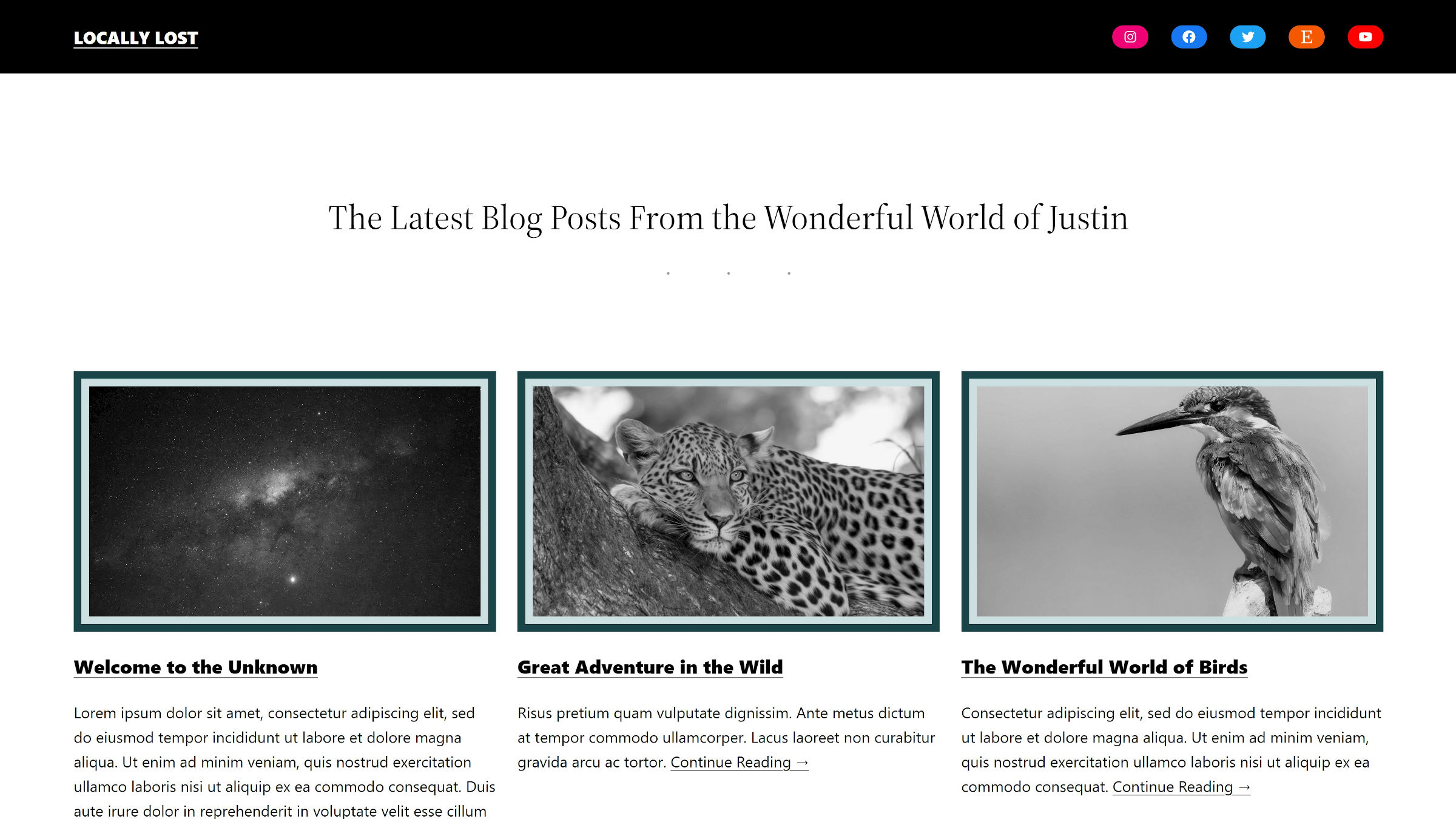 FSE Outreach Round #11: Going on a Site Editing Safari