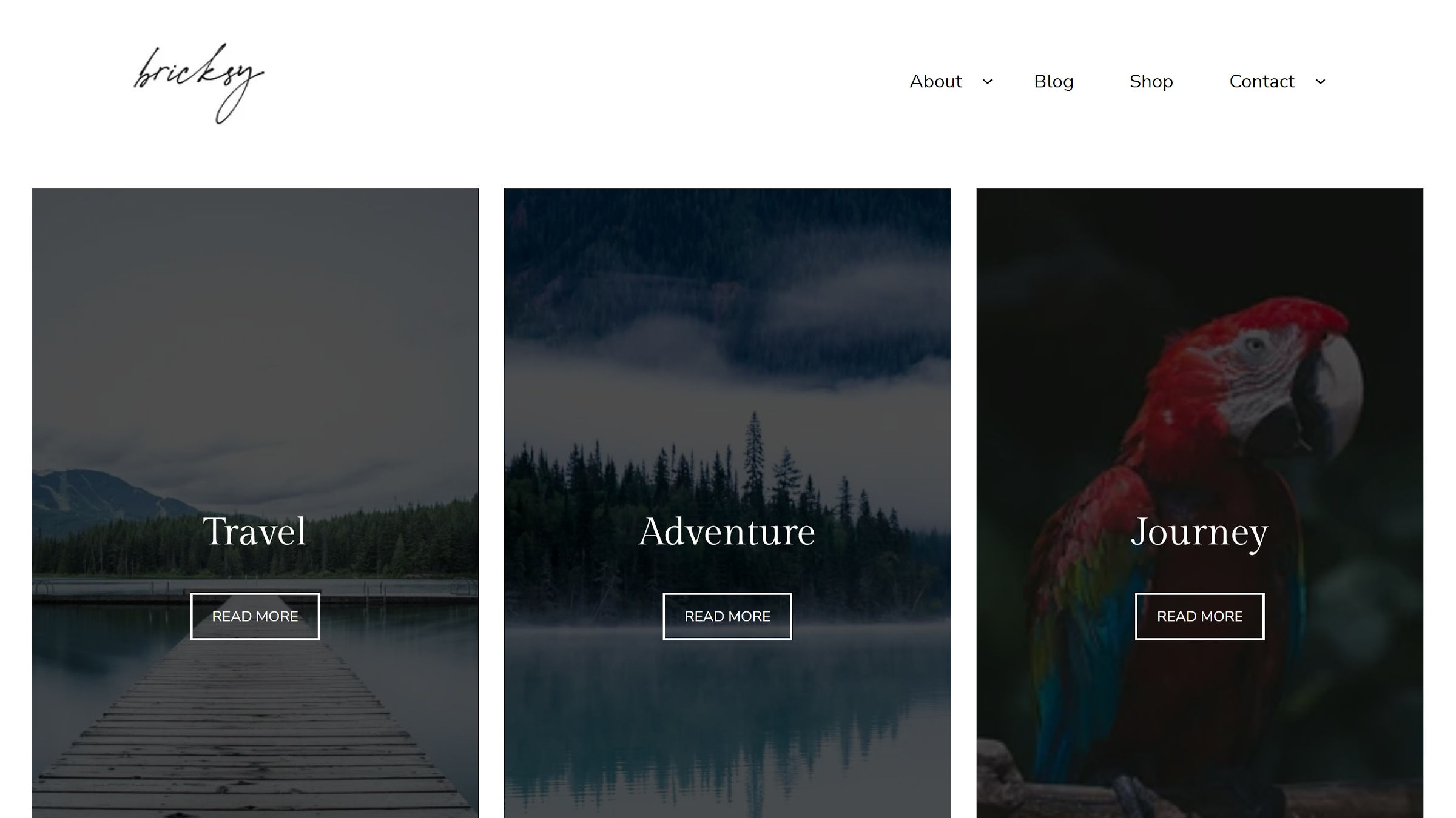 Anariel Design Releases Bricksy, Its Third WordPress Block Theme