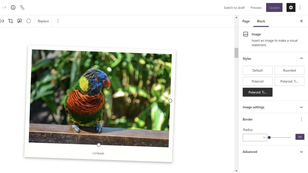 Building a “Polaroid” Image Block Style