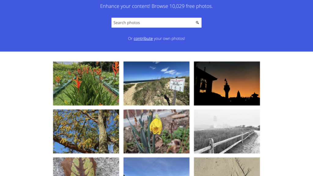 Behind the Lens: WordPress Photos Directory Surpasses 10,000 Images, Moderators Explore Future Enhancements